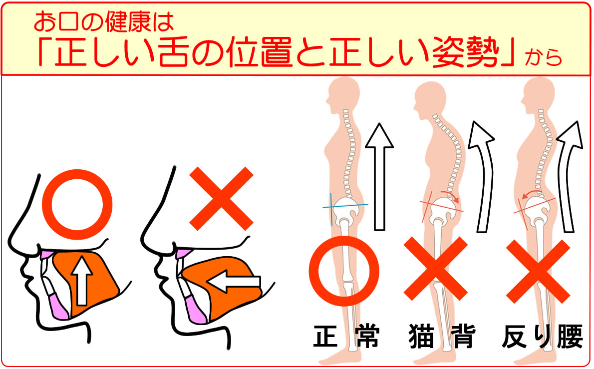 �����̌��N�́u��������̈ʒu�Ɛ������p���v����